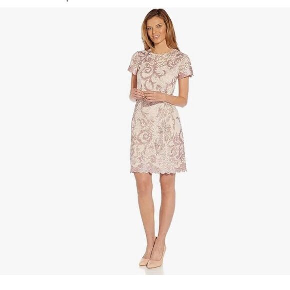 Adrianna Papell Women's Lace a Line Shift Dress Joyful Blush Wedding Lace dress - Picture 4 of 12